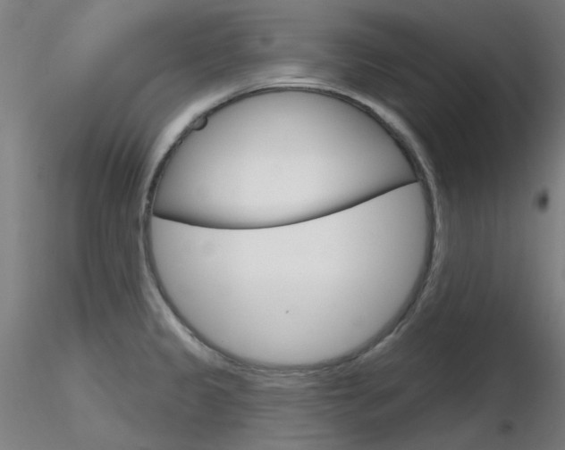 X0000116851333200912220934