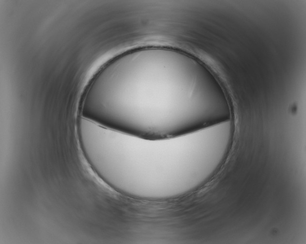 X0000116851334200912220934