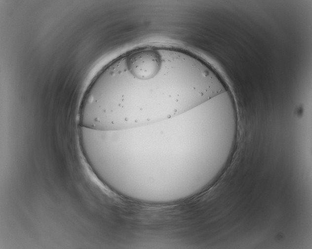 X0000116851335200912220934
