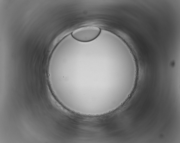 X0000116851338200912220934