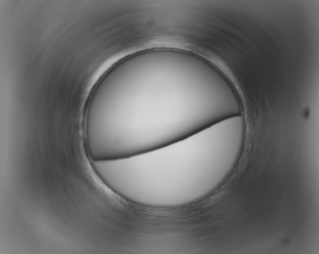 X0000116851339200912220934