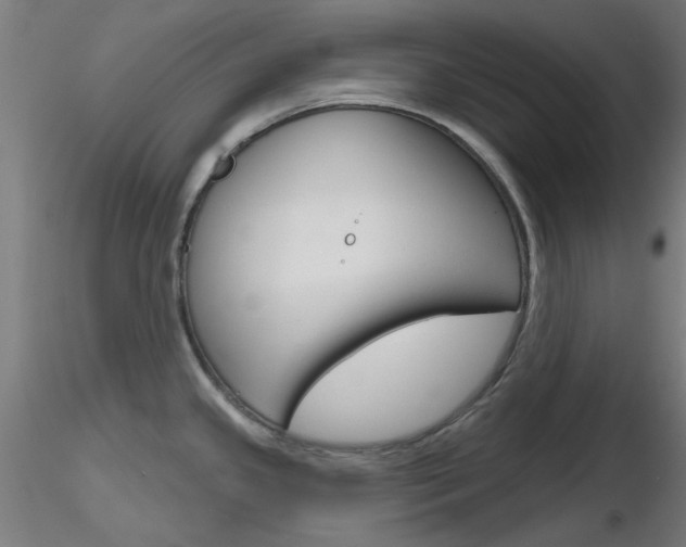 X0000116851341200912220934