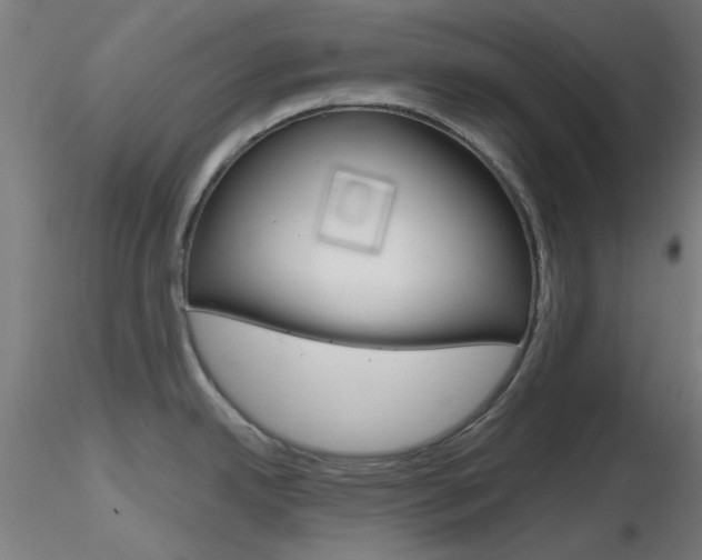 X0000116851342200912220934