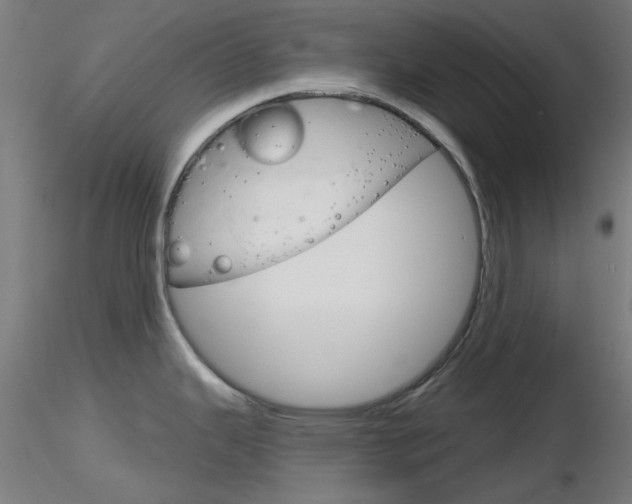 X0000116851343200912220934
