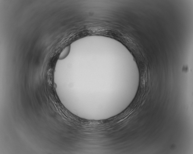 X0000116851346200912220933