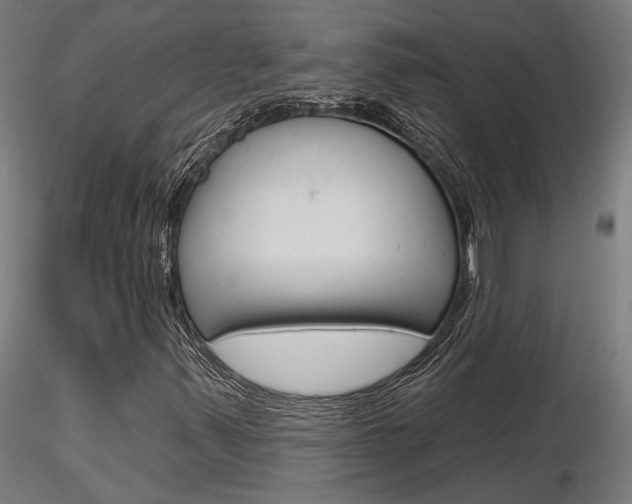 X0000116851347200912220933
