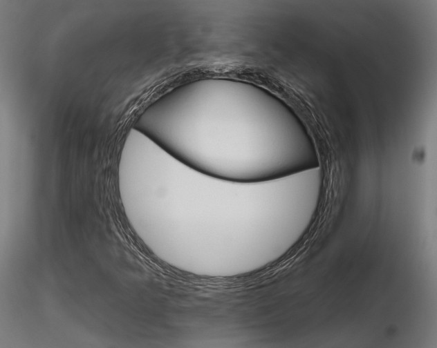 X0000116851349200912220933