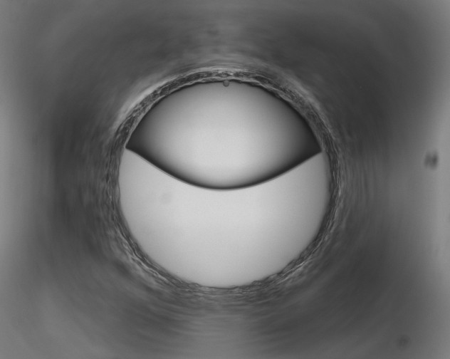 X0000116851352200912220933
