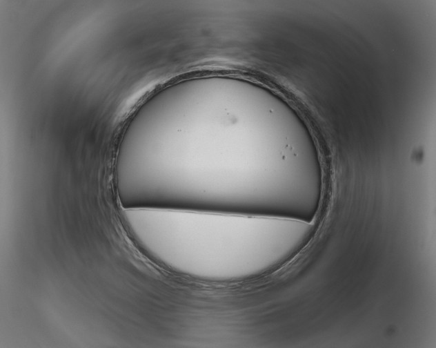 X0000116851355200912220933