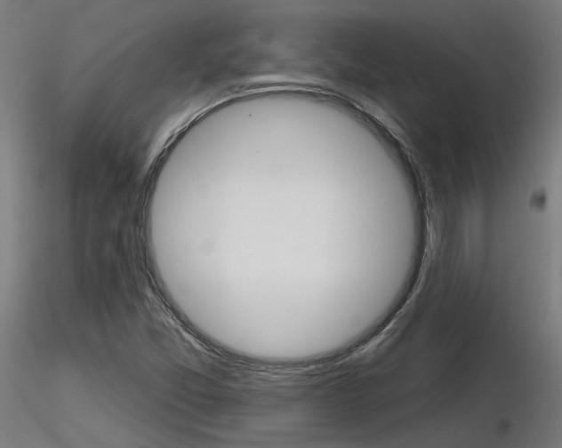 X0000116851357200912220933