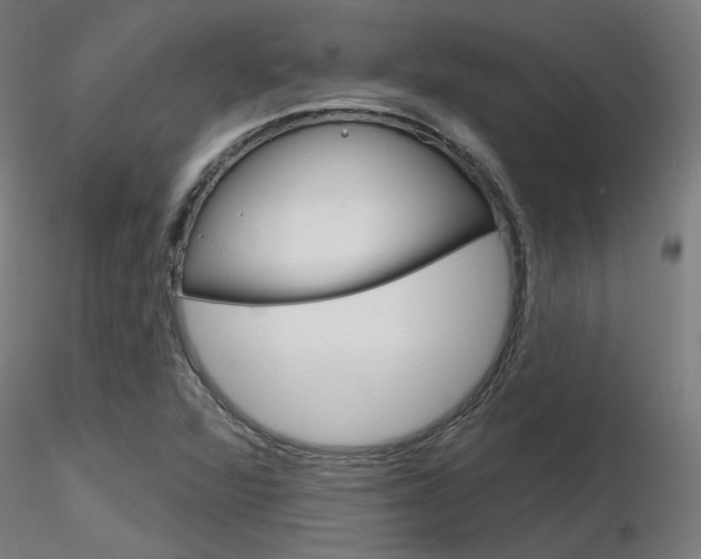 X0000116851360200912220933