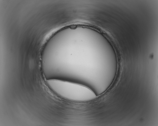 X0000116851363200912220933