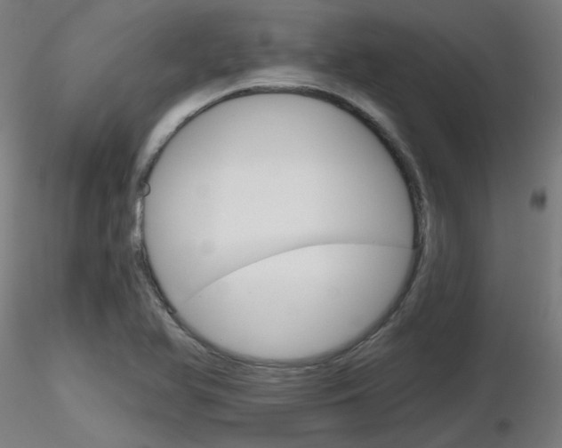 X0000116851366200912220933