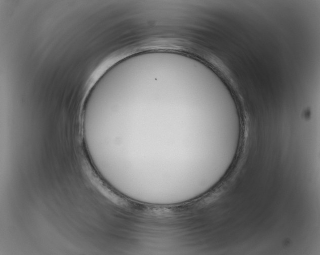 X0000116851370200912220933