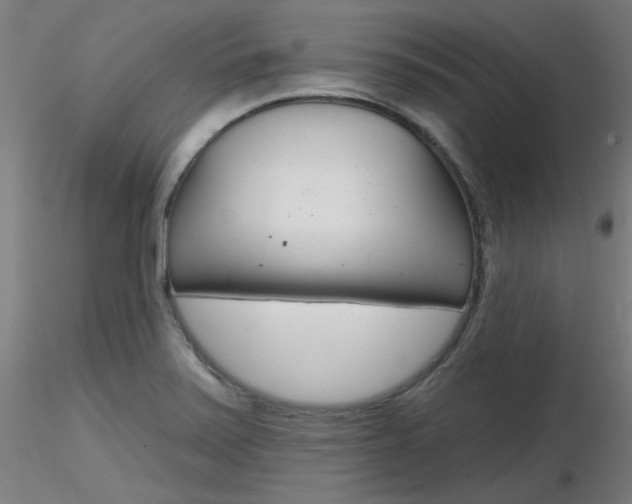 X0000116851371200912220933