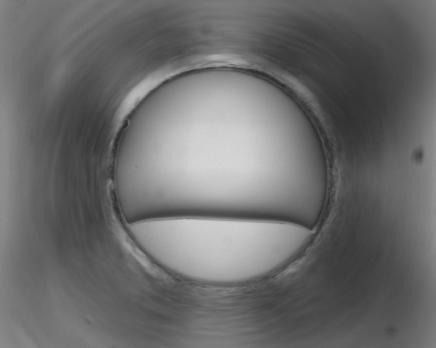 X0000116851373200912220933