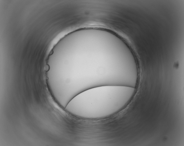 X0000116851374200912220933