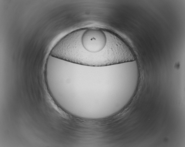 X0000116851375200912220933
