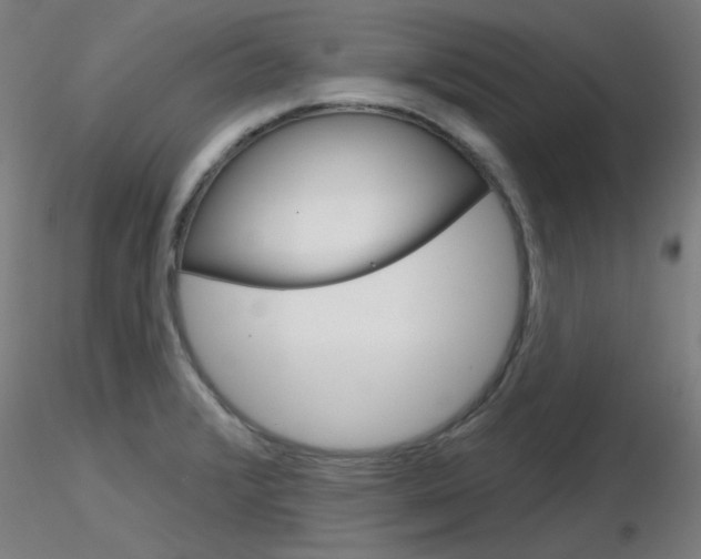 X0000116851376200912220933