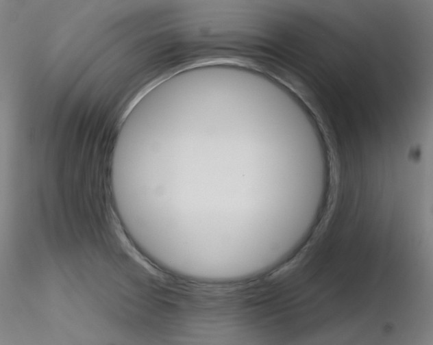 X0000116851377200912220933