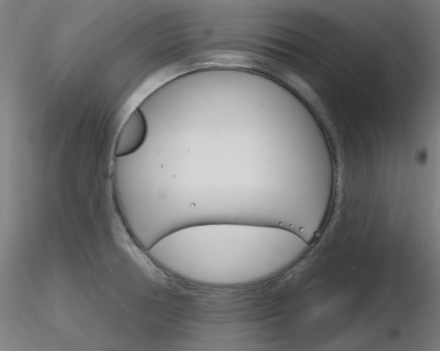X0000116851378200912220933