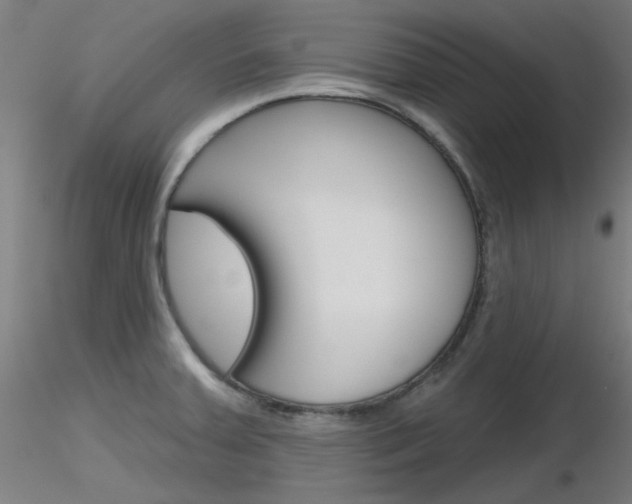X0000116851379200912220933