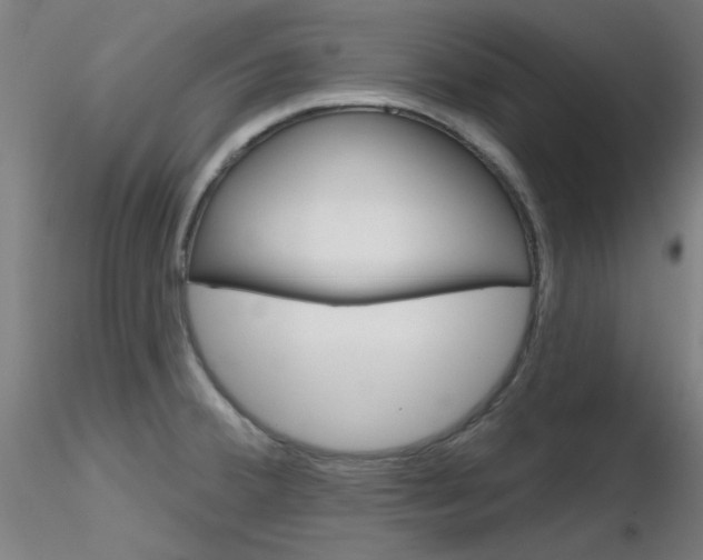 X0000116851380200912220933