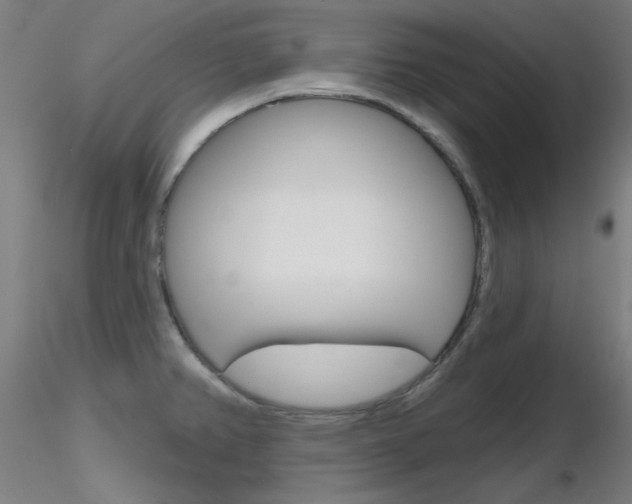 X0000116851382200912220933