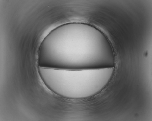 X0000116851383200912220933