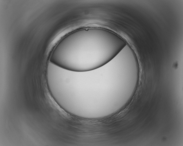 X0000116851384200912220933