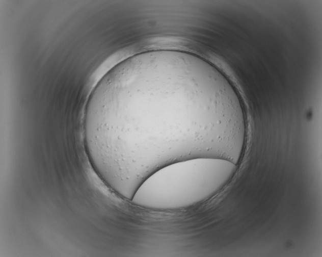X0000116851386200912220933