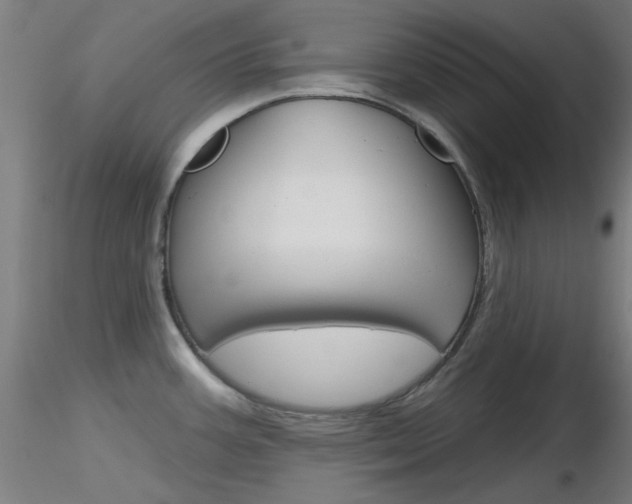X0000116851387200912220933