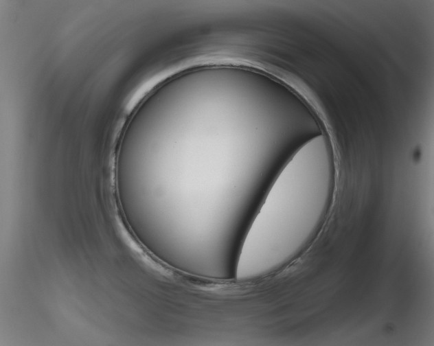 X0000116851388200912220932