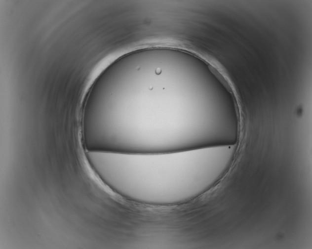 X0000116851389200912220932