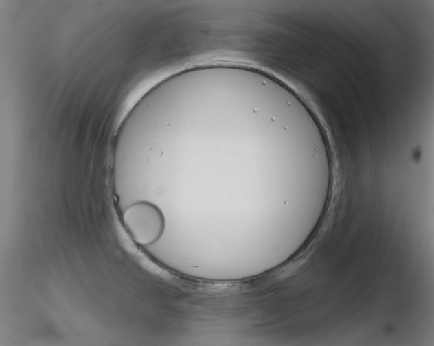 X0000116851390200912220932