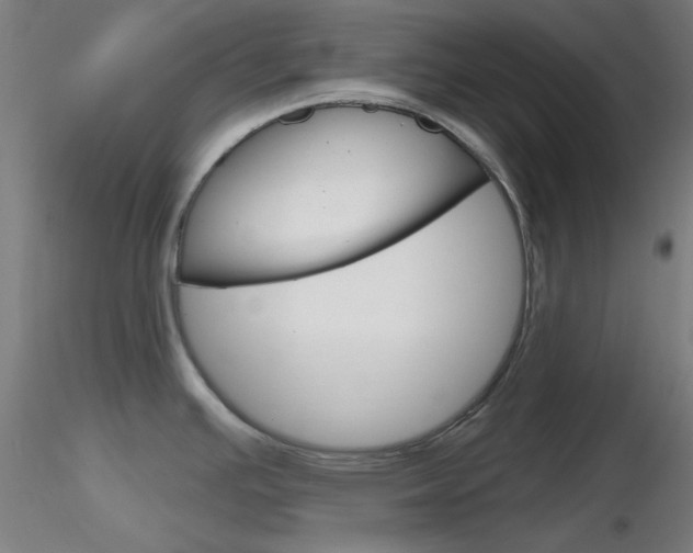 X0000116851391200912220932