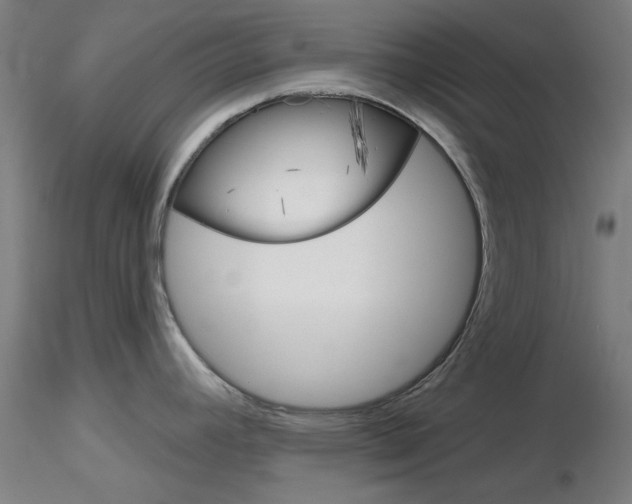 X0000116851392200912220932