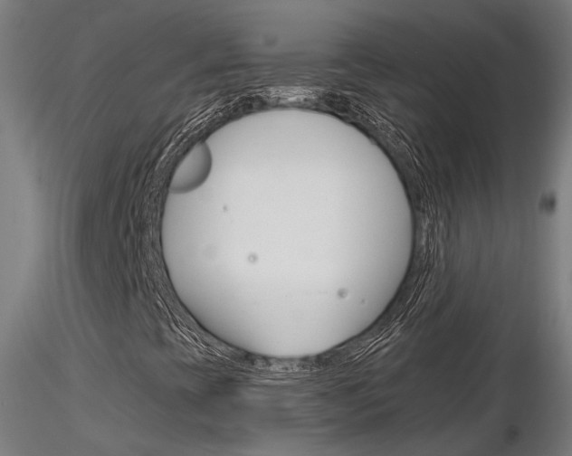 X0000116851393200912220932