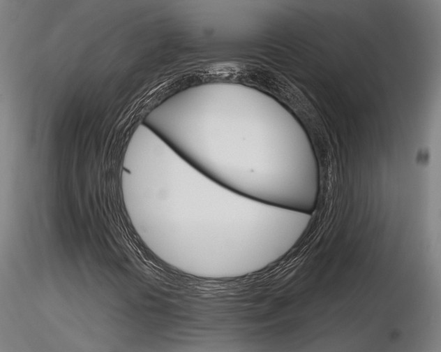 X0000116851394200912220932
