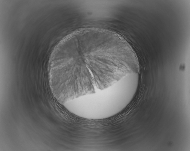 X0000116851395200912220932