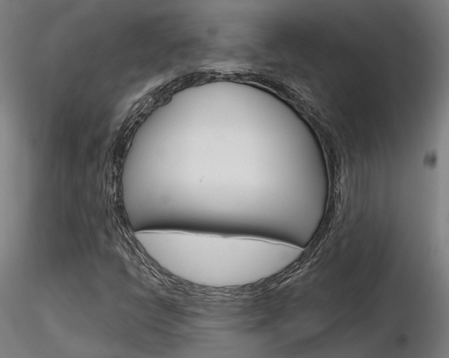 X0000116851398200912220932