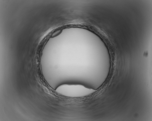 X0000116851400200912220932