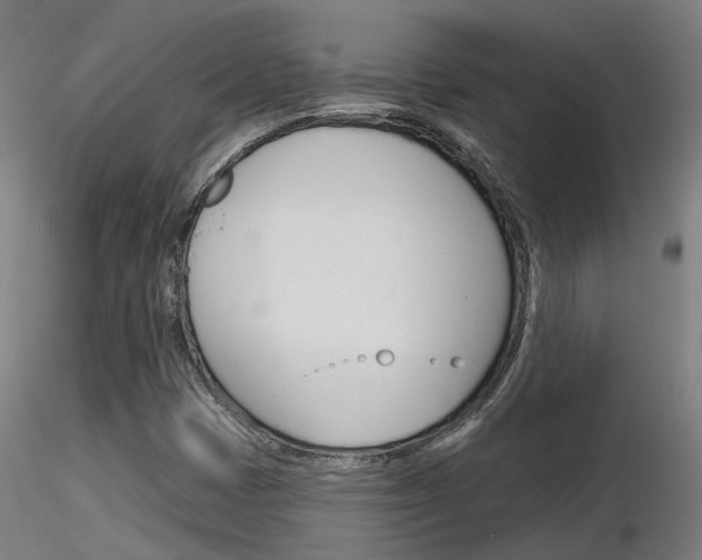 X0000116851401200912220932