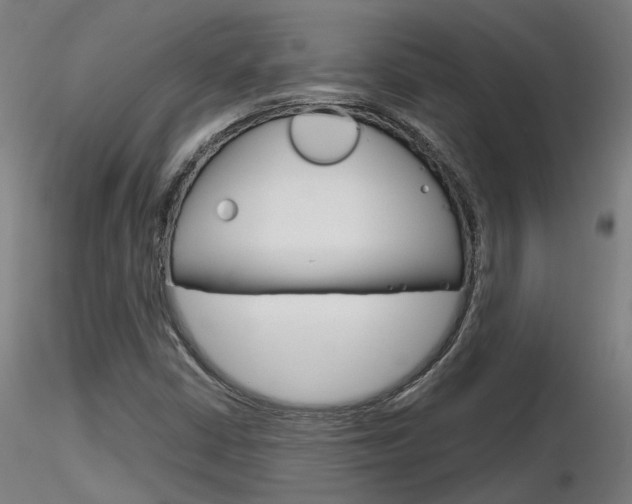 X0000116851402200912220932