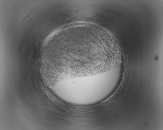 X0000116851403200912220932