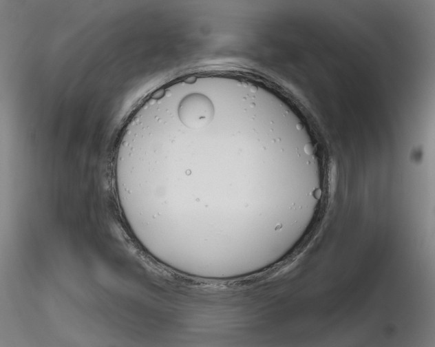 X0000116851405200912220932