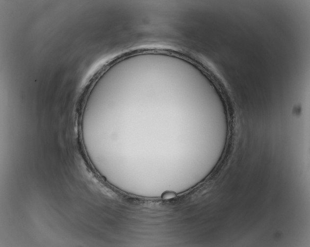 X0000116851408200912220932