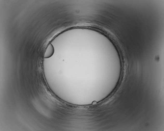 X0000116851409200912220932