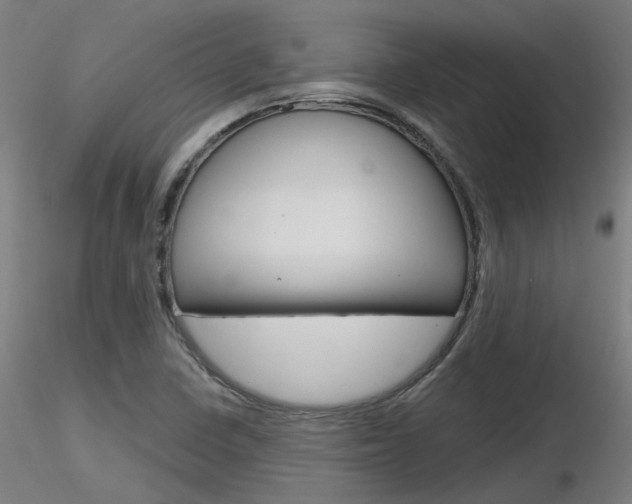 X0000116851410200912220932