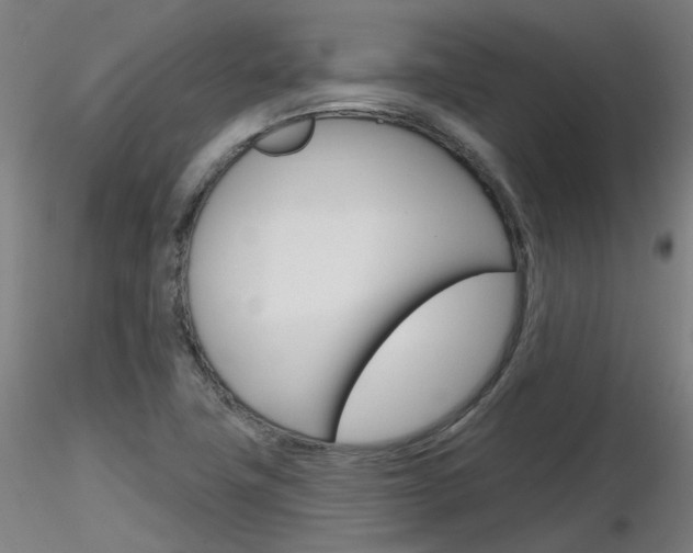X0000116851411200912220932